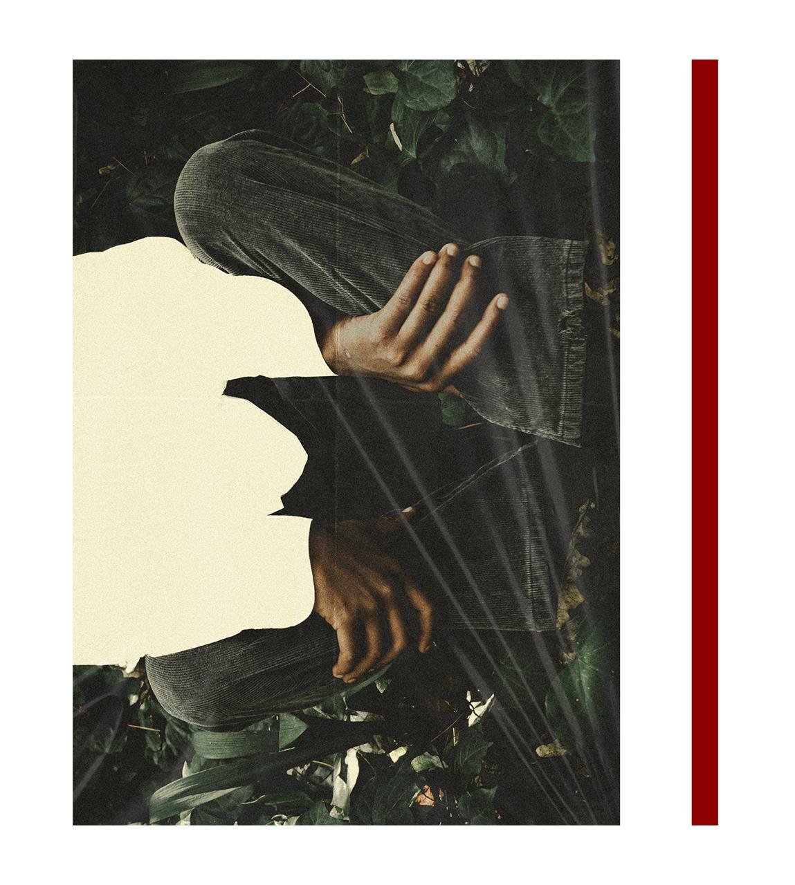 Campaign visual created for Fidèlle's album release